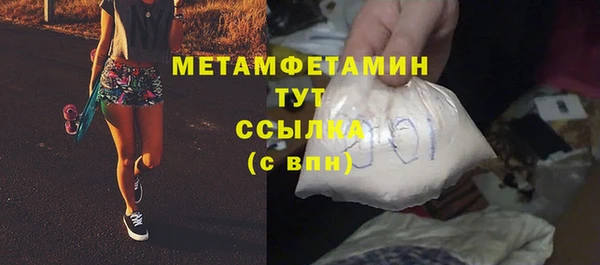 мдпв Гусев