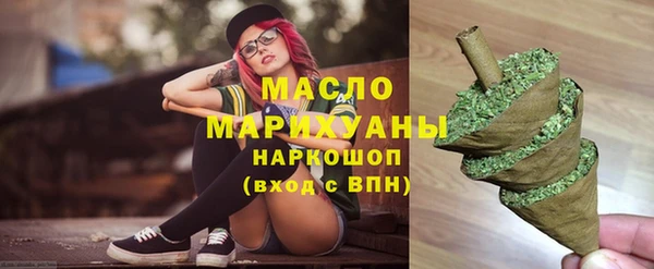 мдпв Гусев