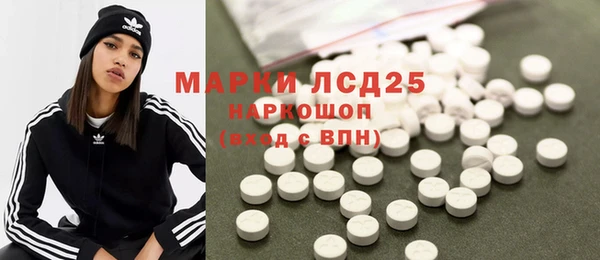 мдпв Гусев