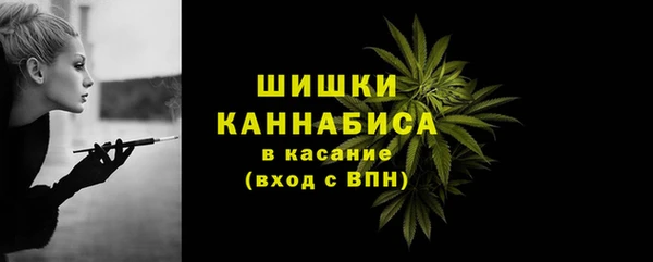 мдпв Гусев