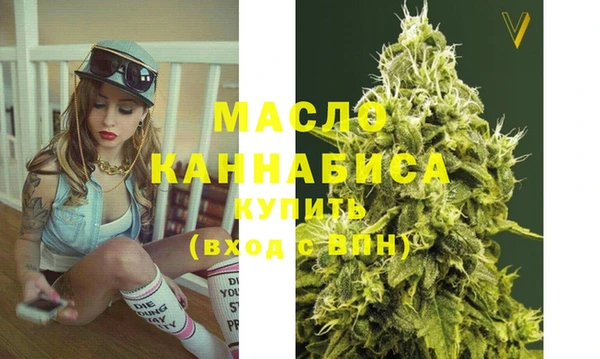 мдпв Гусев