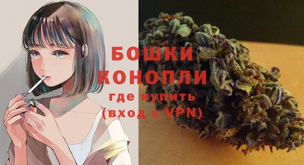 мдпв Гусев