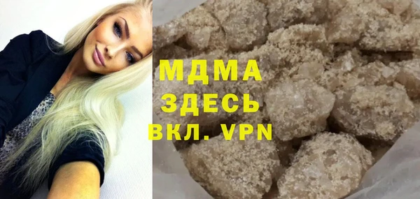 мдпв Гусев