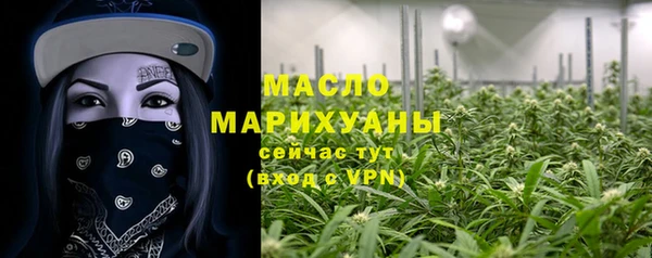 мдпв Гусев