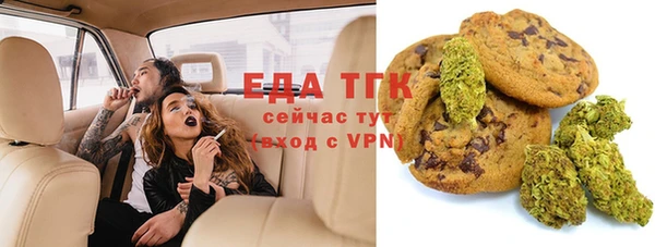 мдпв Гусев