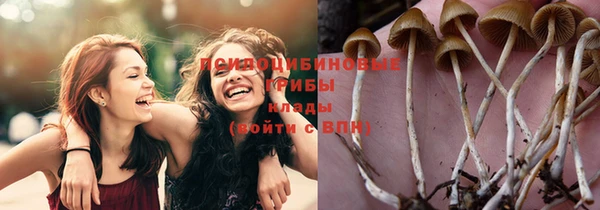 спайс Усмань